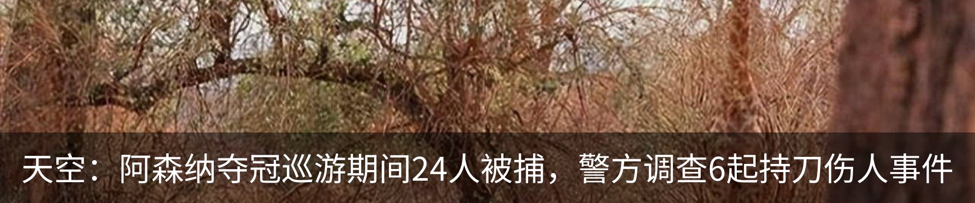 最新动态