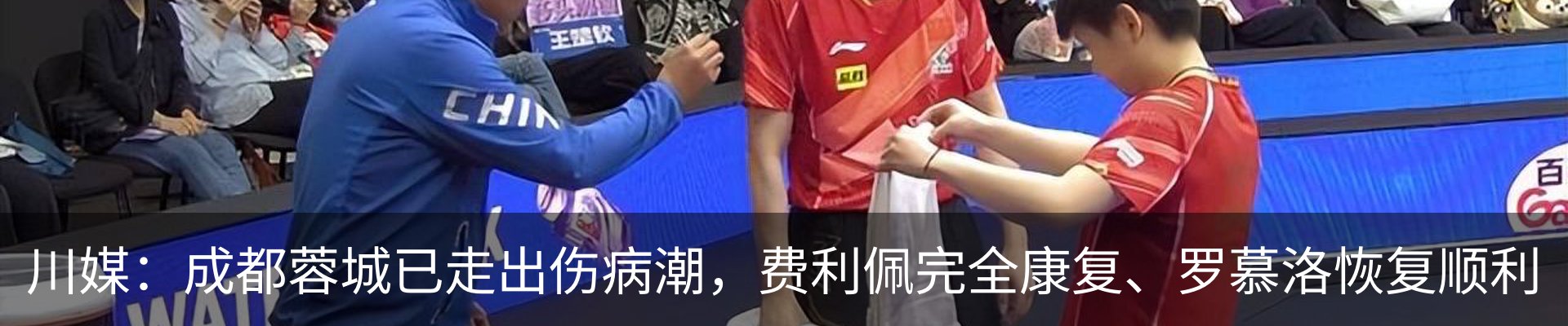 最新动态