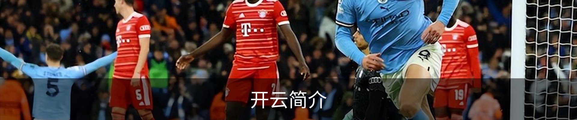 开云简介