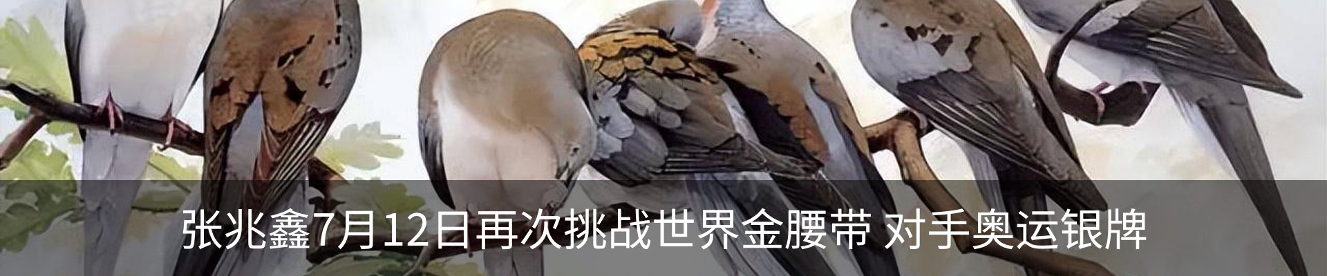 最新动态