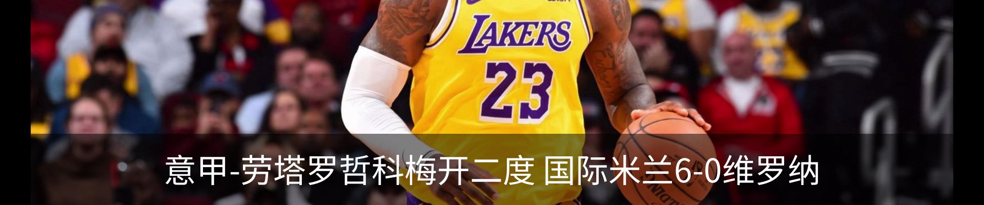 最新动态