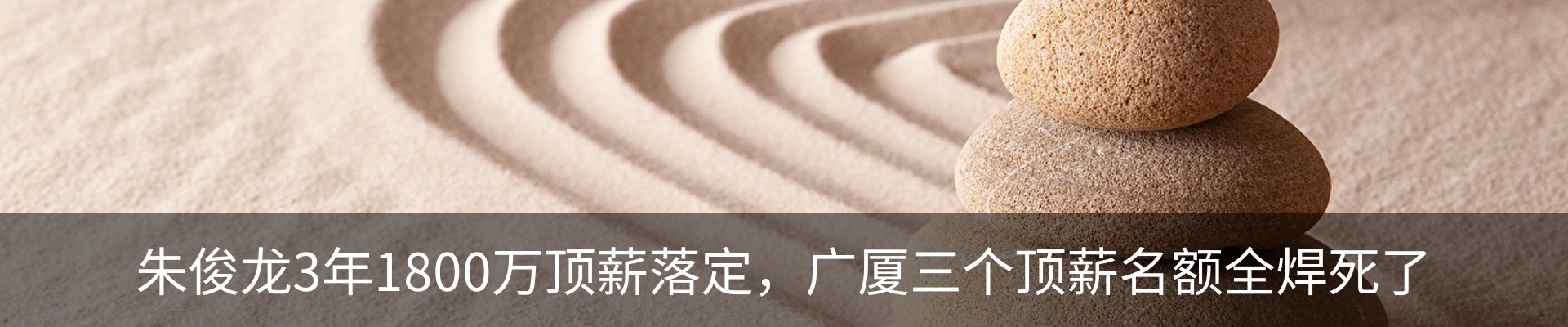 最新动态