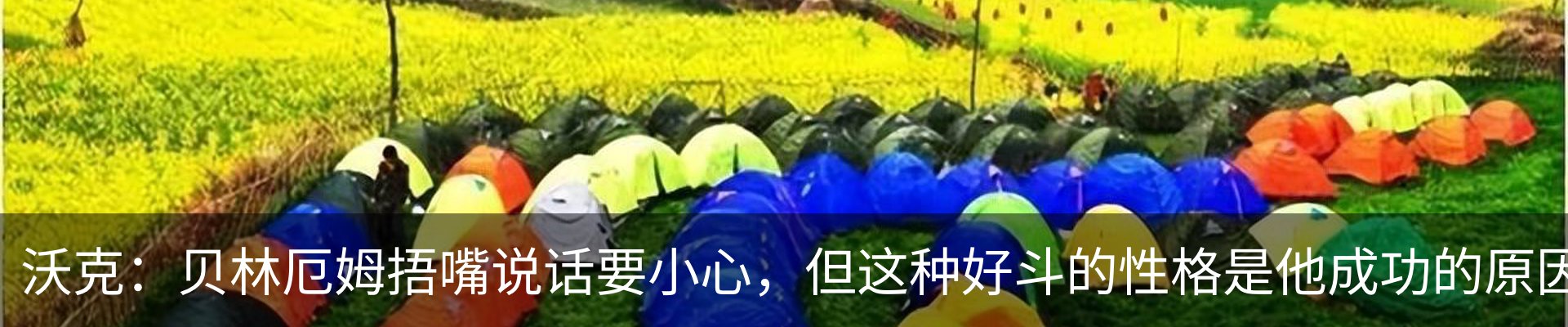最新动态