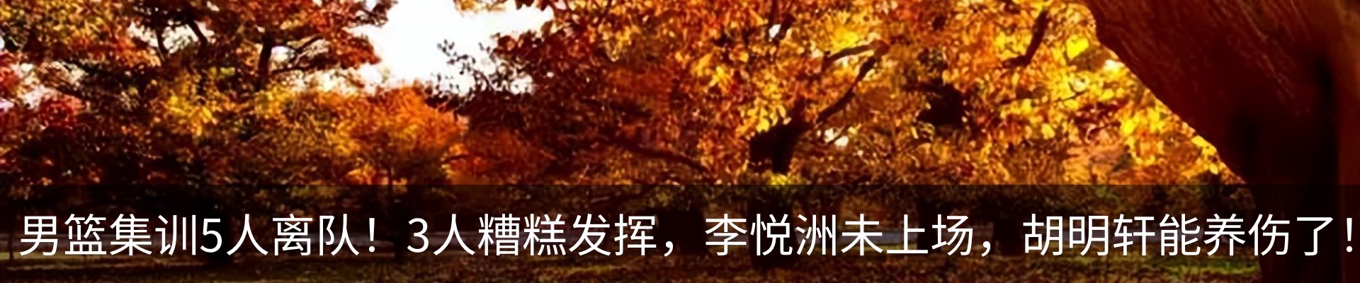 最新动态