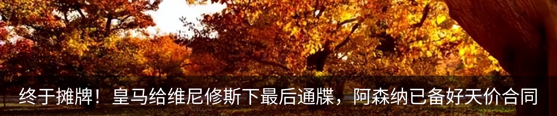 最新动态