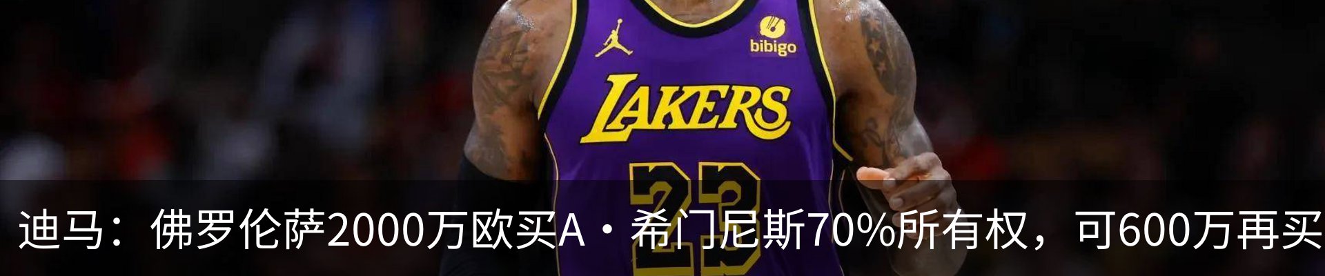 最新动态