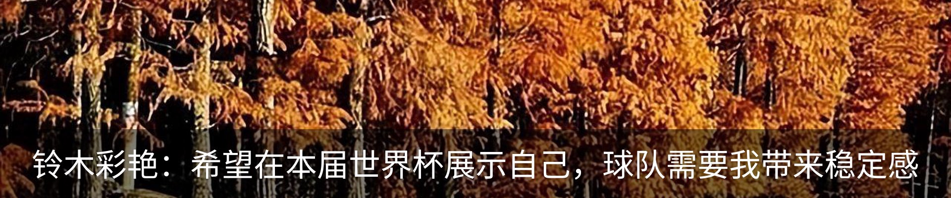 最新动态