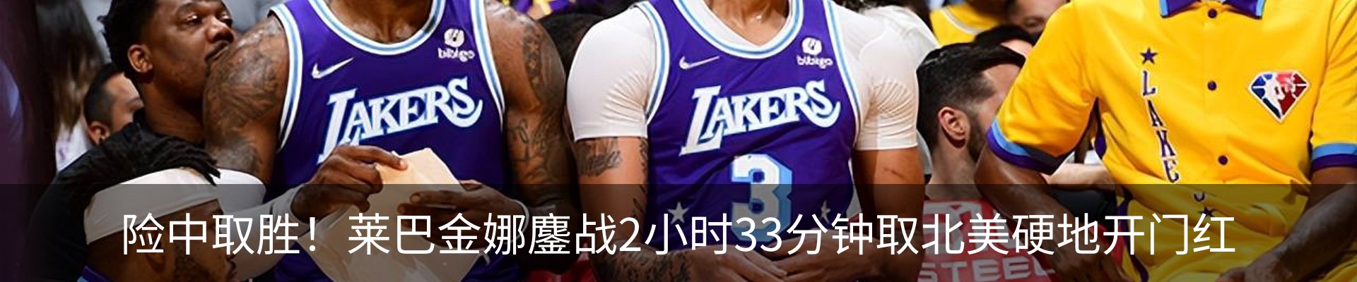 最新动态