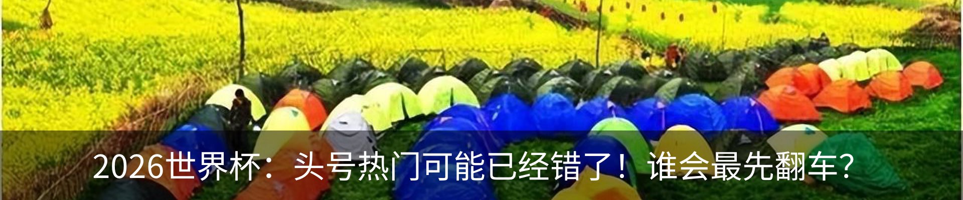 最新动态