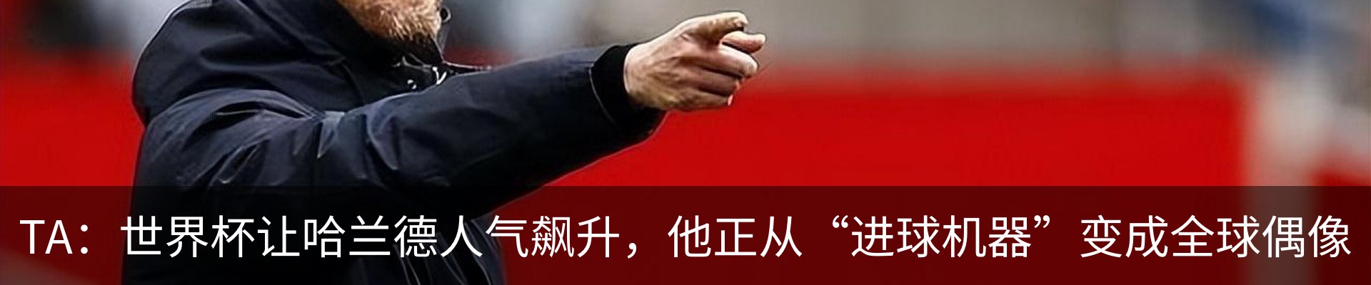 最新动态